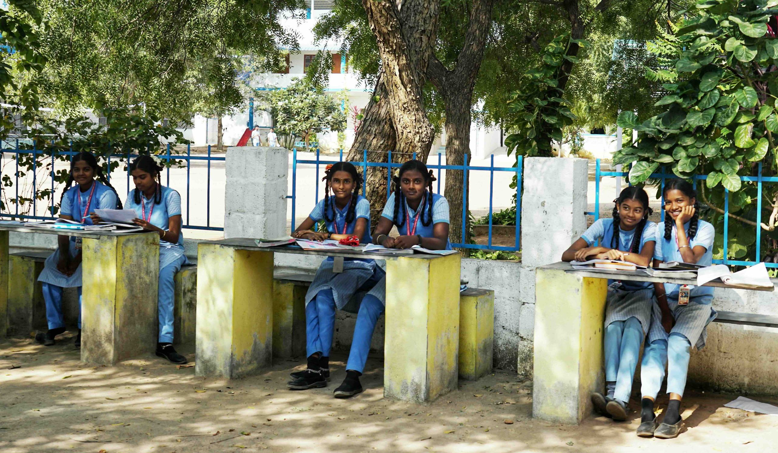High school girls studying outside on a sunny day